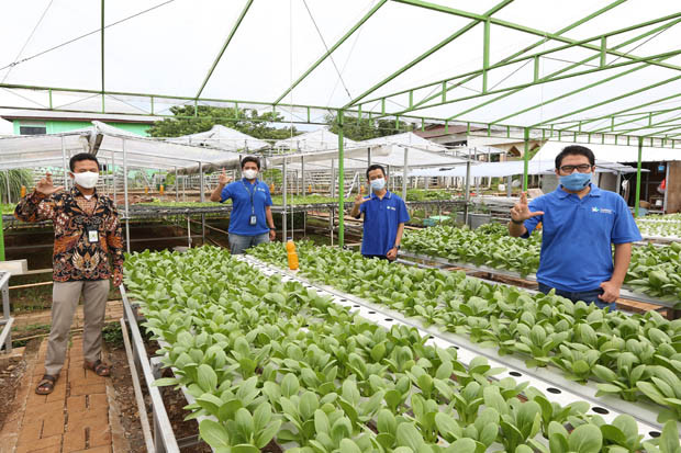XL Smart Hydroponics,...
