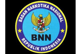 BNNP Kepri Amankan 33...