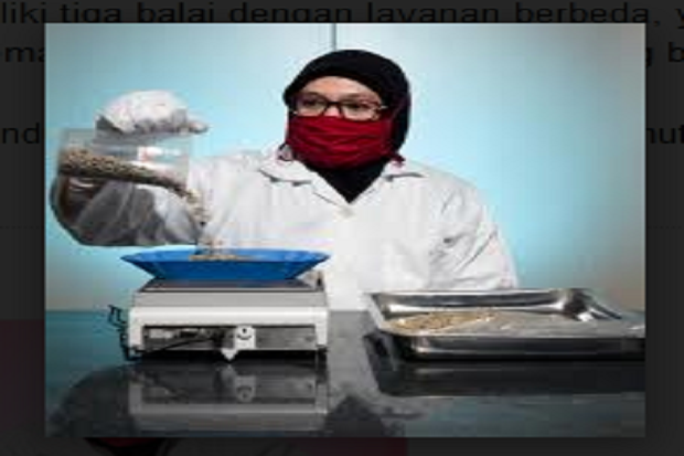 Bisnis Menggeliat, Permohonan...