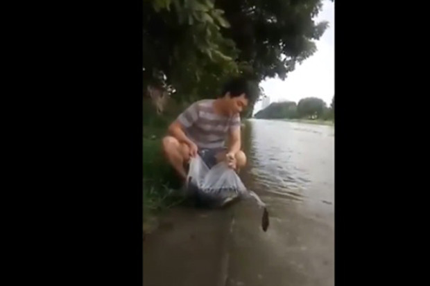 Rutin Lepas Ikan ke...