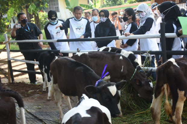 Bertahan di Tengah Pandemi,...
