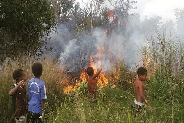 Hutan Papua Diduga Dibakar,...