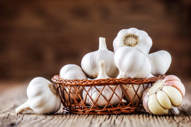 Agar Bawang Putih Tetap...