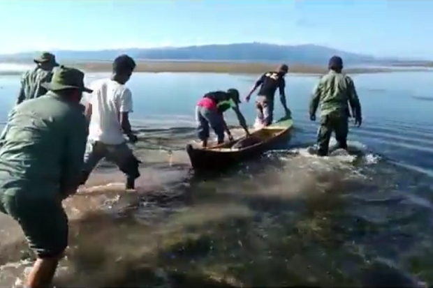 Ikan Duyung Terdampar...