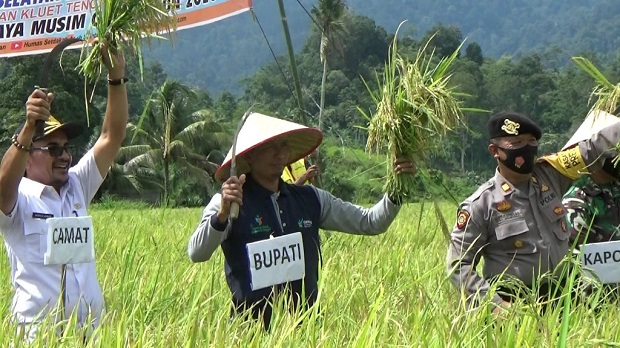 Bupati Aceh Selatan...