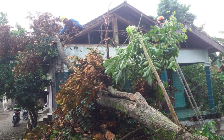 Hujan Angin di Sleman,...