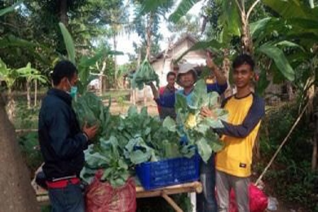 Misi Teknik Pertanian...