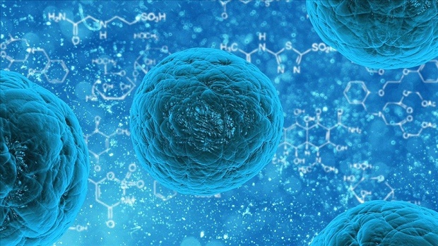 Wabah Norovirus Kembali...
