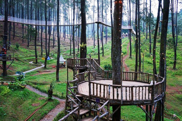 Wisata Domestik dan...