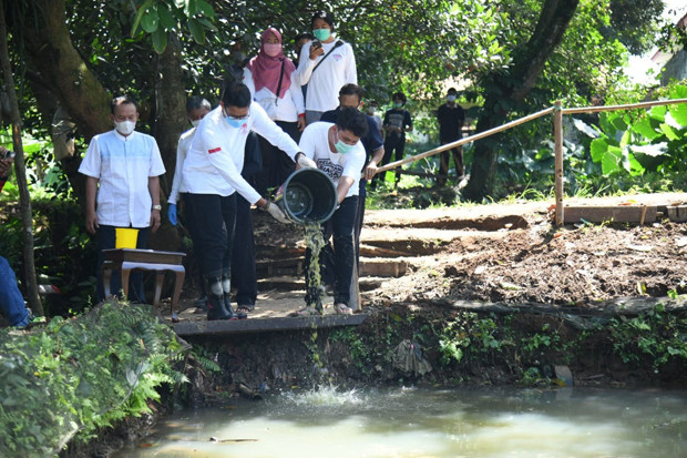 Cerita Sukses Petani...