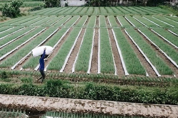 Desa di Kediri Memperbaiki...