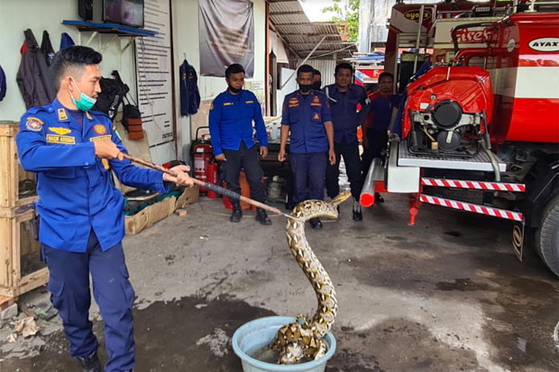 Warga Toddopuli Maros...