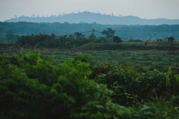 Masalah Perkebunan,...