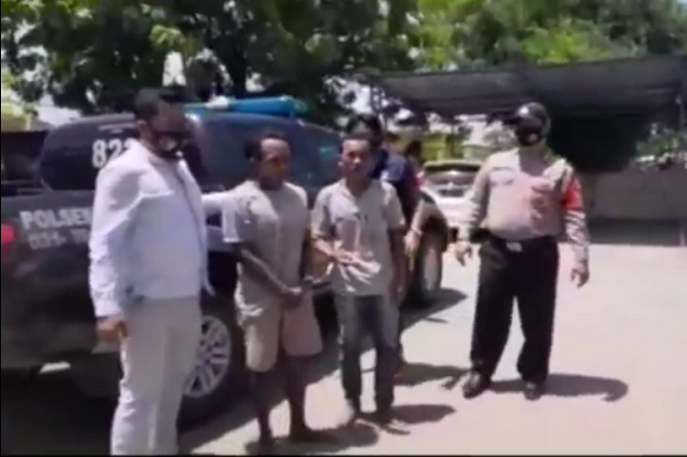 Kepergok Curi Sapi,...