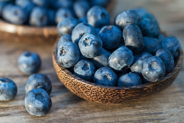 Buah Blueberry Bisa...