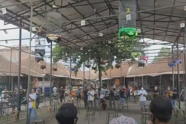 Lomba Kicau Burung di...