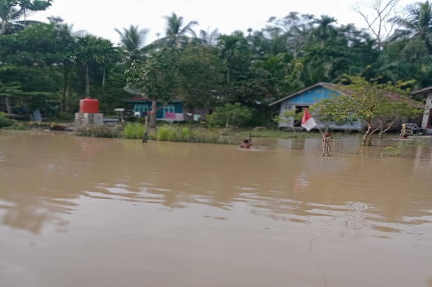 Hujan Lebat Picu Banjir...