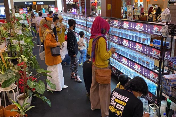 Pameran Ikan Cupang...