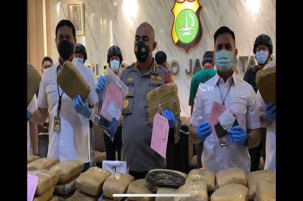 173 Kg Ganja untuk Rayakan...