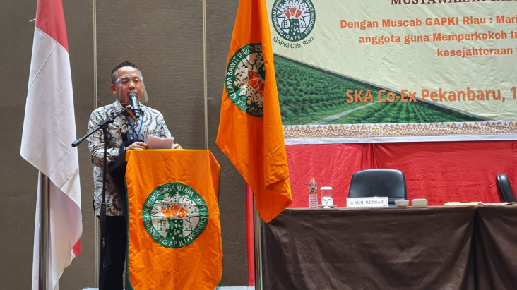Riau Miliki Kebun Sawit...