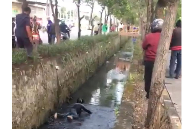 Viral! Video Perampok...