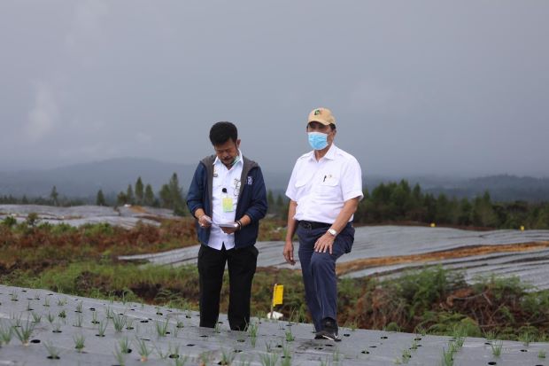 Food Estate Humbang...