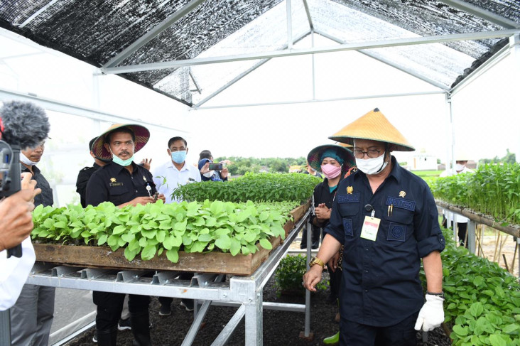 Kementan: Optimalkan...