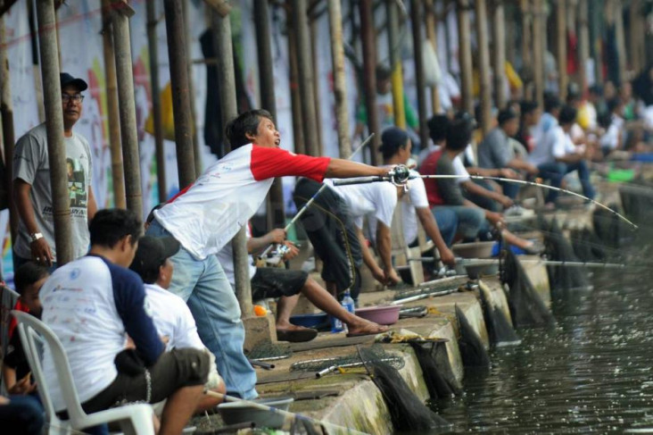Berebut Hoki, Lomba...