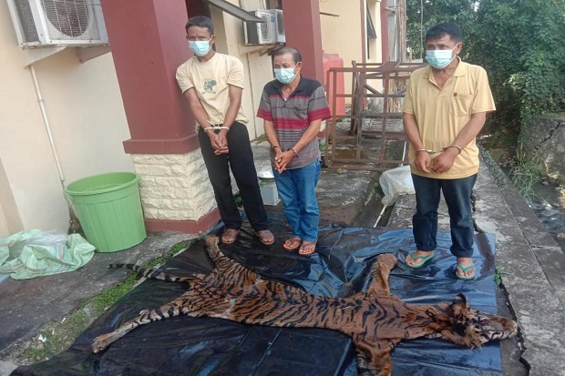 Nekad Jual Kulit Harimau...
