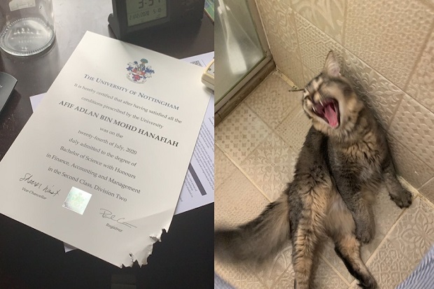 Kucing Nakal Ini Viral...