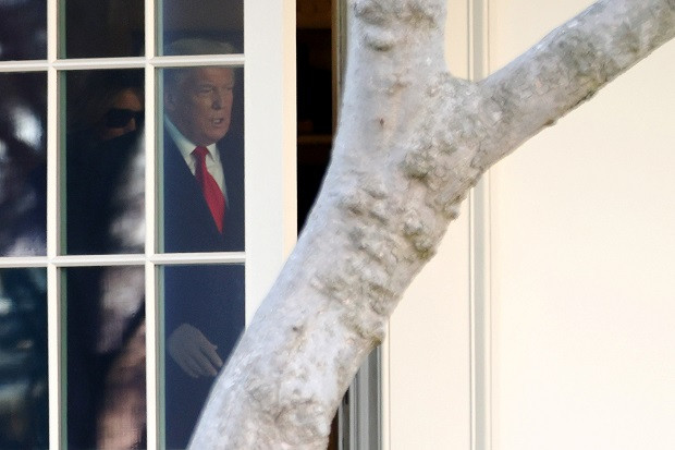 Trump Serukan Pembentukan...