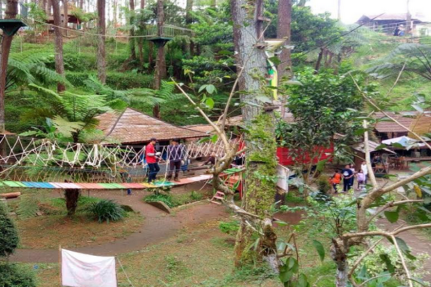 Libur Natal Kawasan...