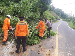 Pohon Tumbang dan Tanah...