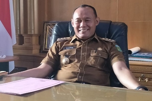 Bupati Tebo Larang Perayaan...