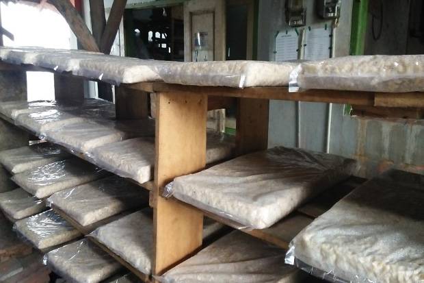 Harga Kedelai Naik 50%,...