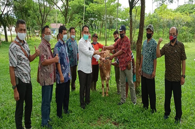 PTPN XII Gelontor Rp9,2...
