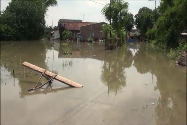 Banjir Masih Rendam...