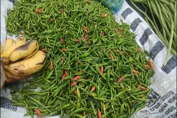 Awal Tahun 2021 Harga...