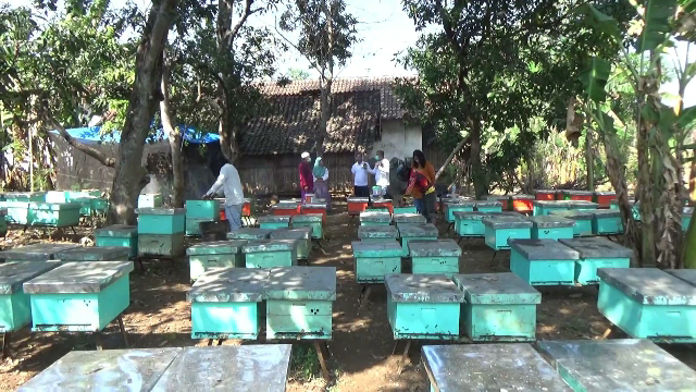 Kisah Mantan Preman...