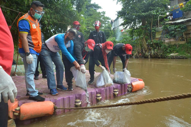 Tanam 1.000 Pohon di...