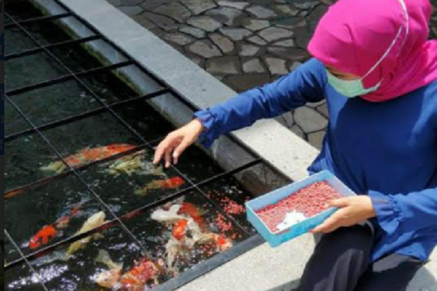Dua Pekan Jalani Isolasi...