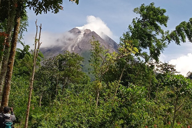 Hari Ini Merapi Keluarkan...
