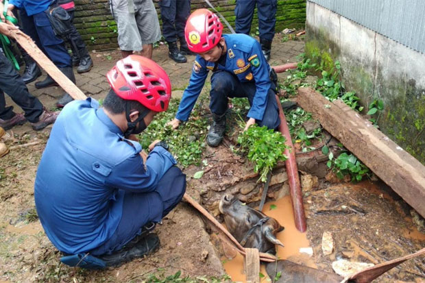 Warga Kaget Dengar Suara...