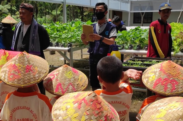Sayur Kendal Ikut Tingkatkan...
