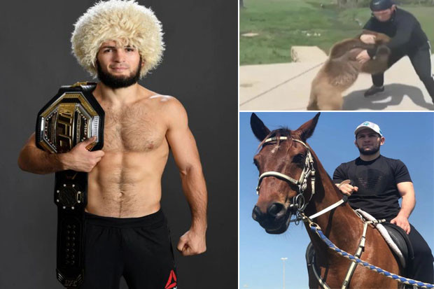 Khabib Kecil Bergulat...