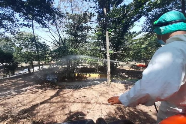 Pengunjung Anjlok 25%,...