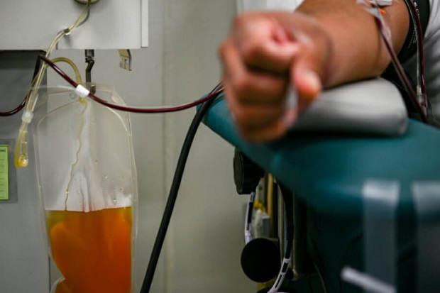 Mengenal Terapi Plasma...