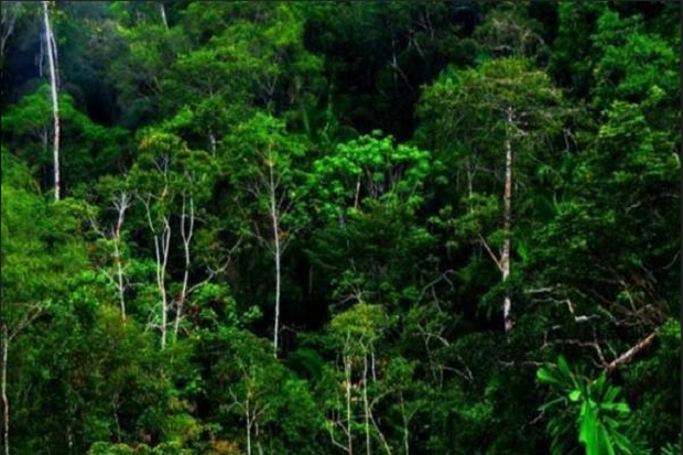 Dana Rp1,3 Miliar untuk...