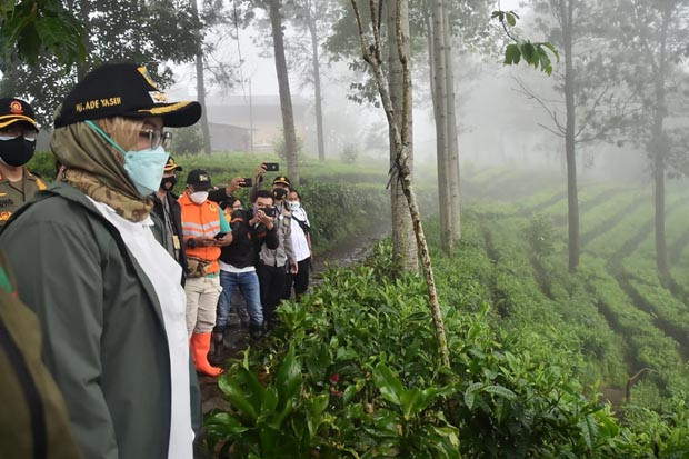 Banjir Bandang Gunung...