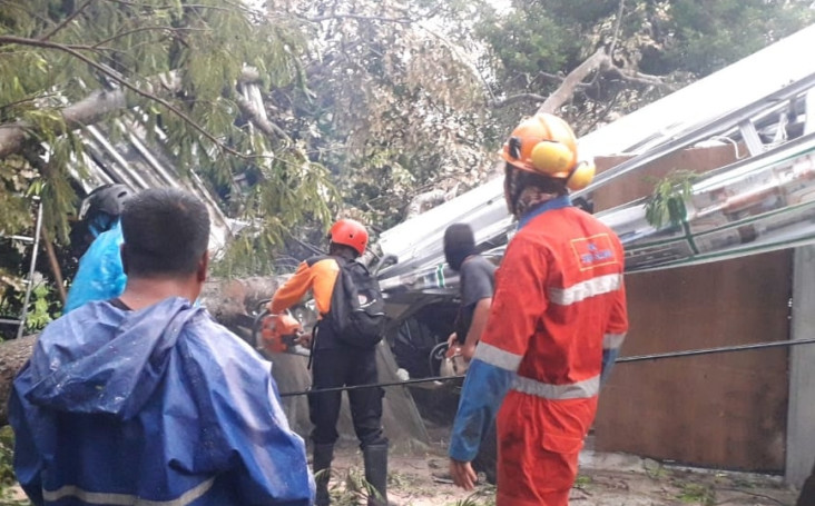 7 Rumah Tertimpa Pohon...